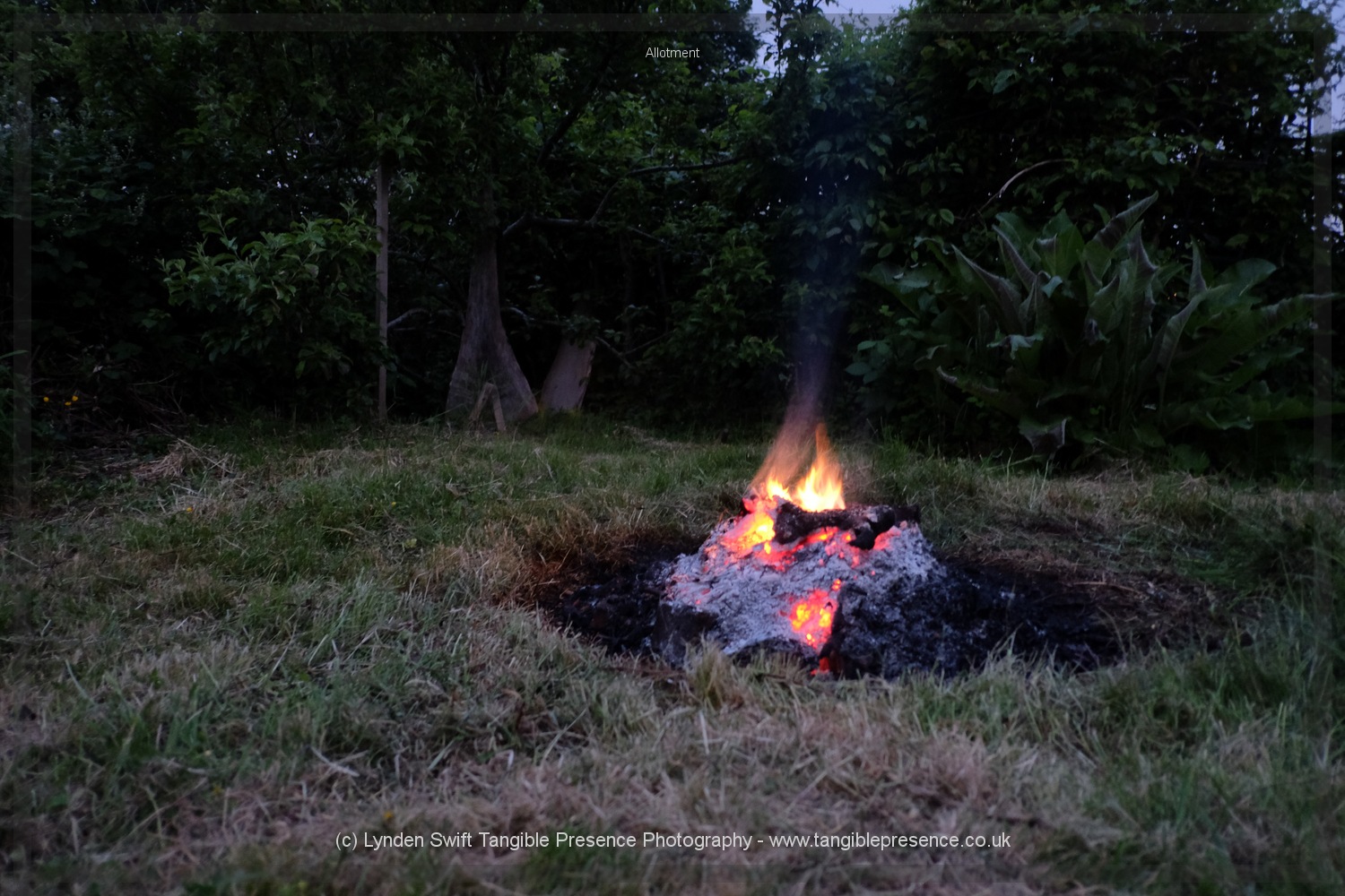  summer fire 