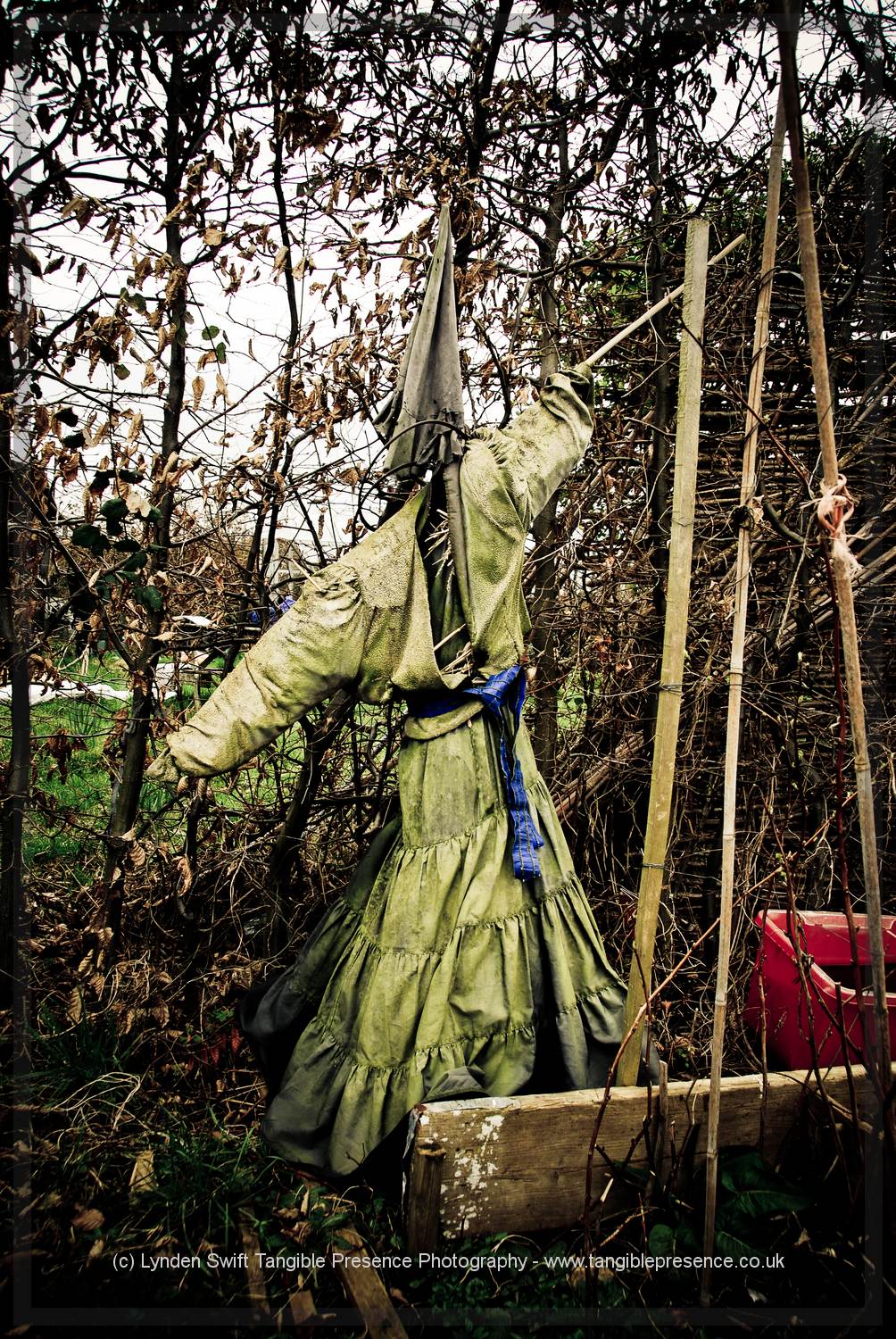  Scarecrow Witch.  