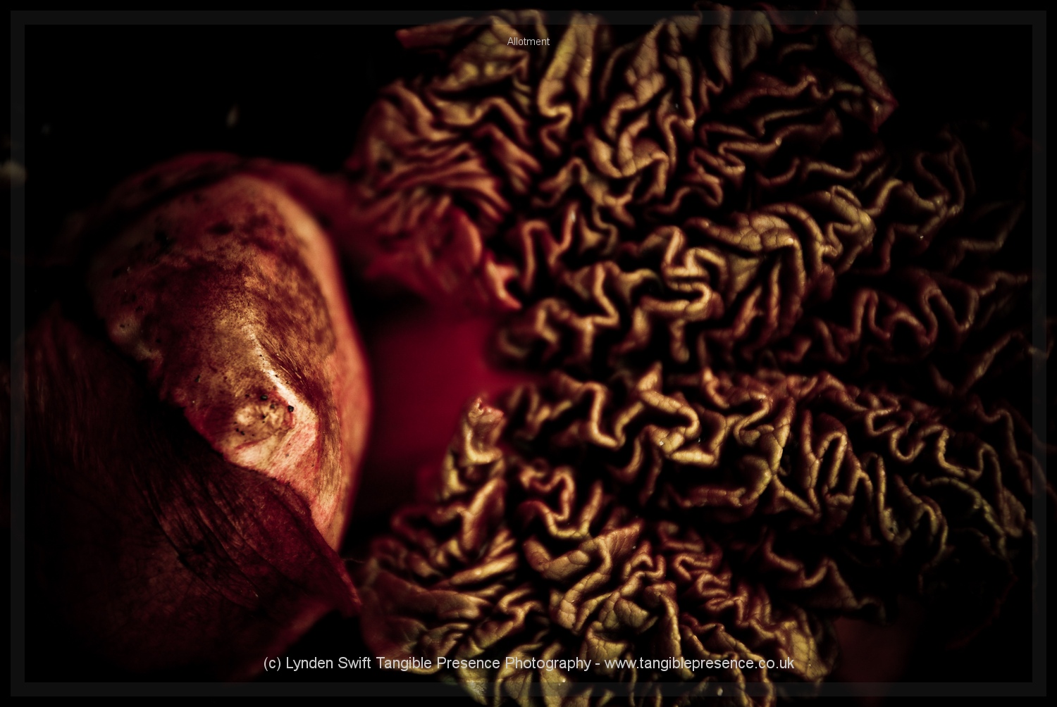  Folds 