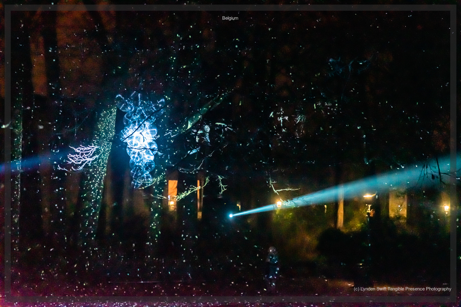  Light show. Bruges. 