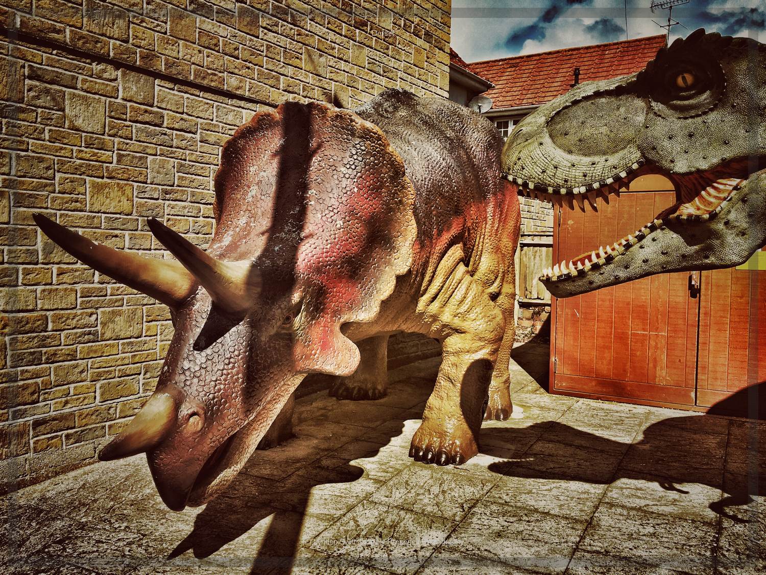  Dorchester Dinosaurs | Tangible Presence | Photography by Lynden Swift 