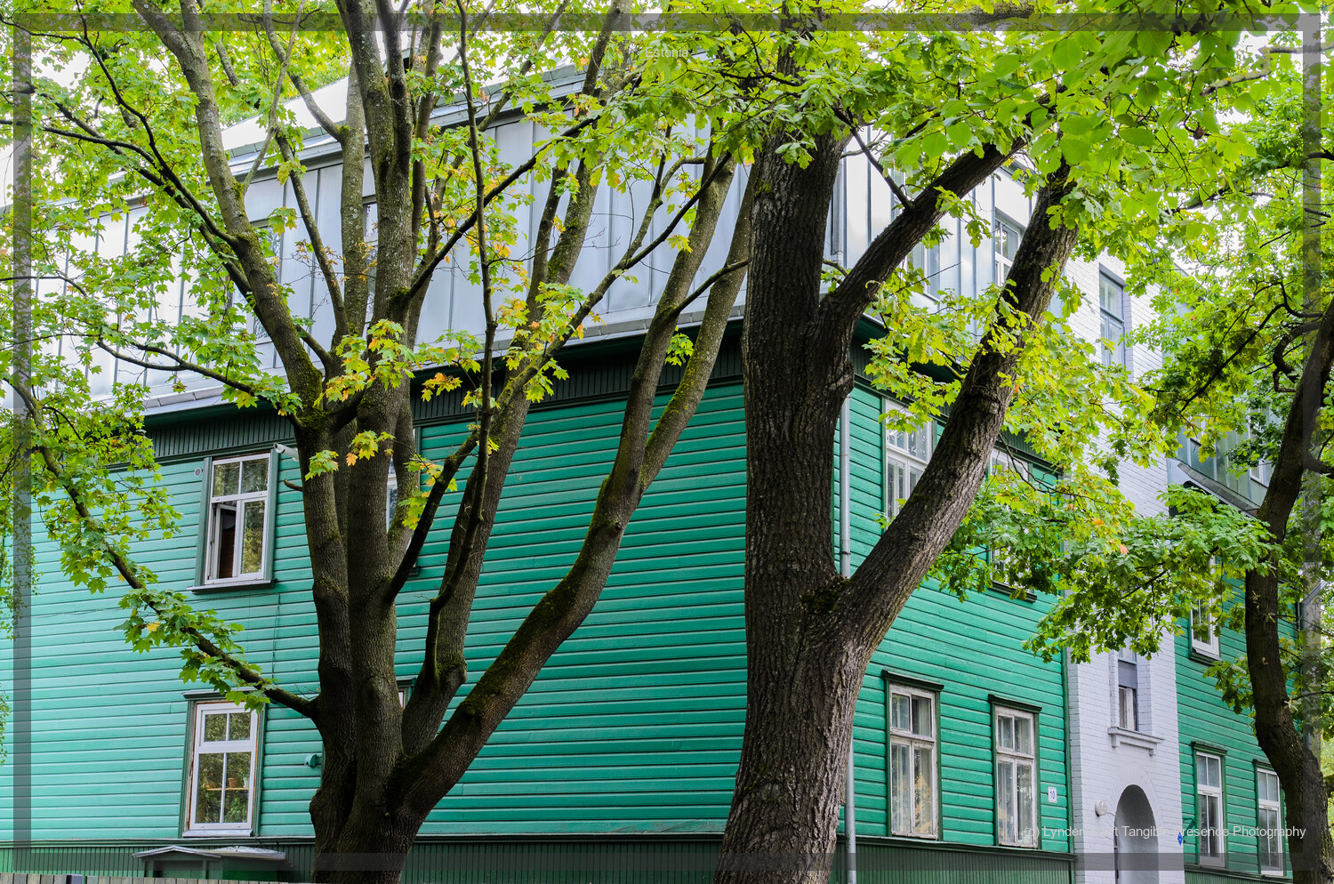  Green building.  Estonia. Lynden Swift Photography.  