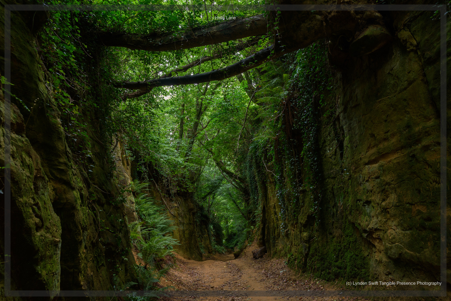 Hells Lane, Dorset | Tangible Presence | Photography by Lynden Swift 
