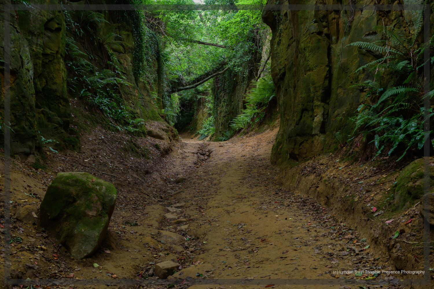  Hells Lane, Dorset | Tangible Presence | Photography by Lynden Swift 