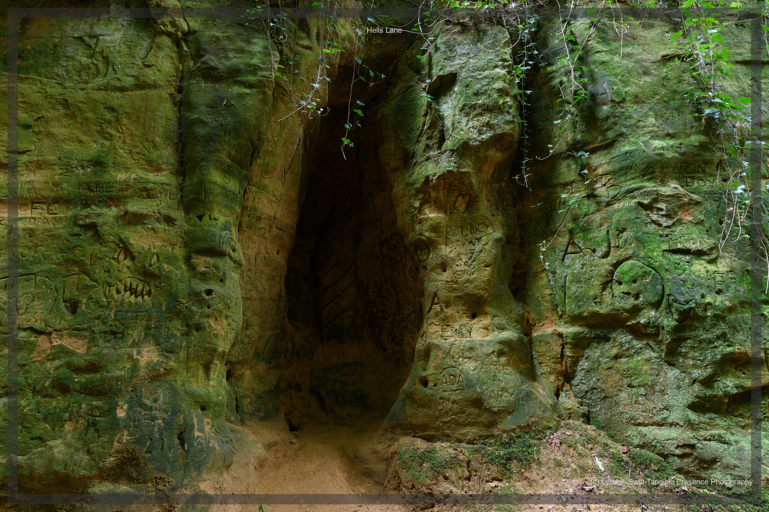  Collection of carvings,  Hells Lane, Dorset | Tangible Presence | Photography by Lynden Swift 