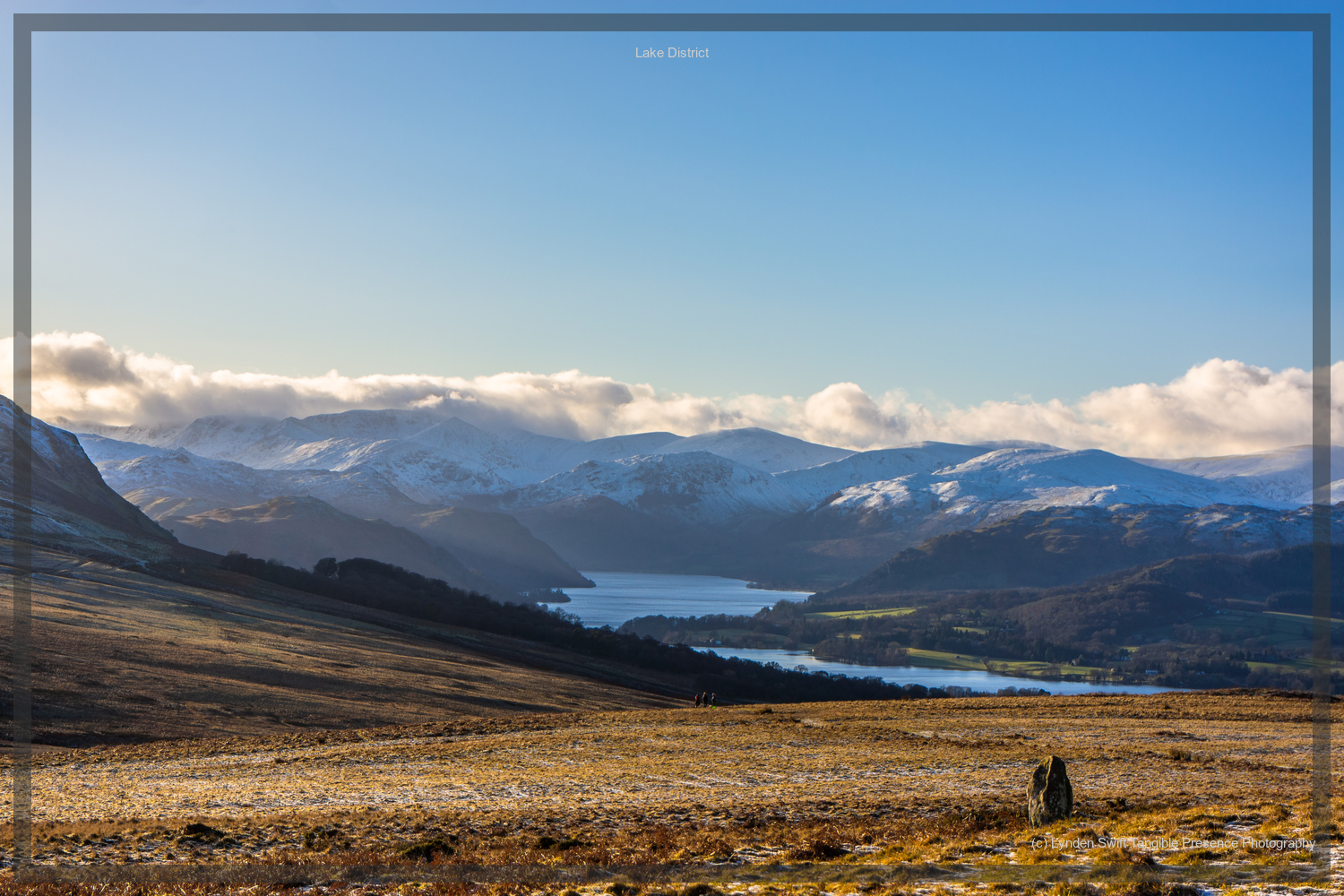  Grizedale, Lake District. Lynden Swift Tangible Presence Photography. 