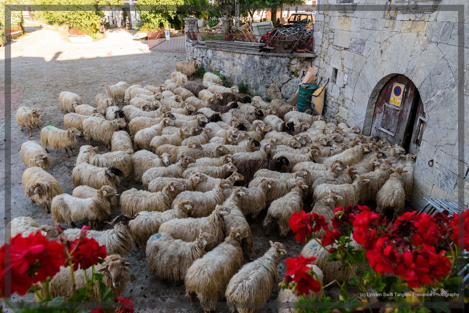  Golderatz. Navarre, Spain.  