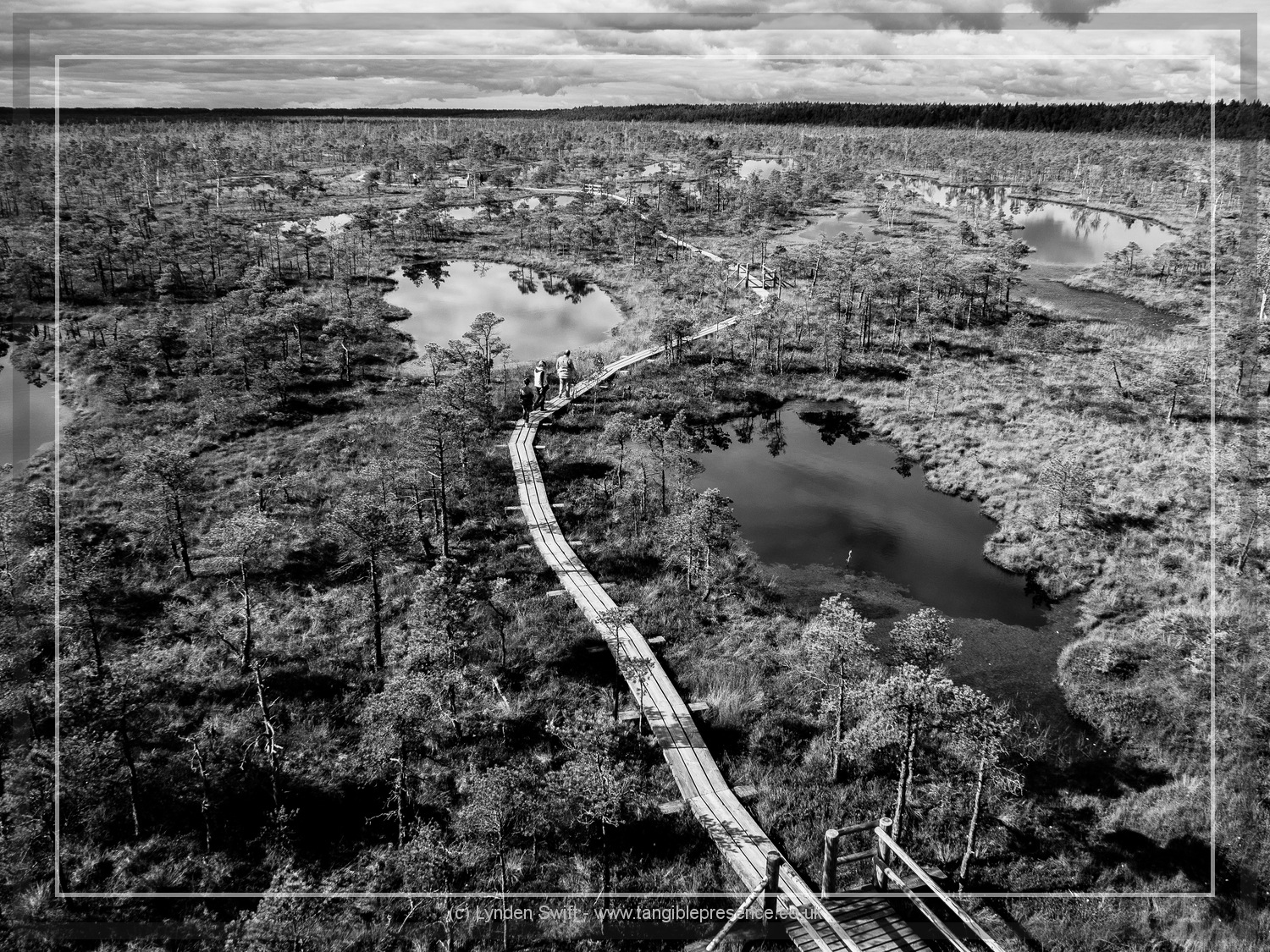  Kemeri National Park | Lynden Swift Tangible Presence Photography. 