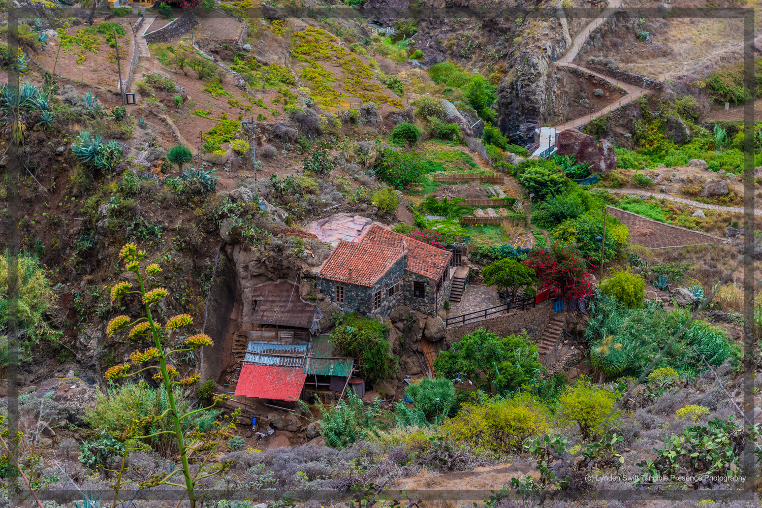  Tenerife.  