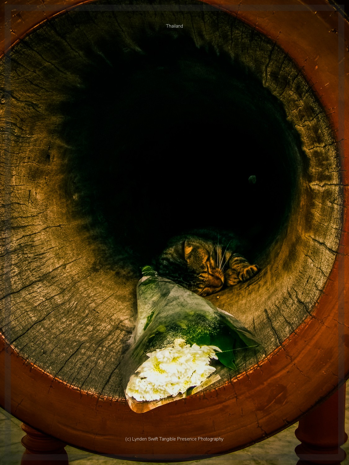  Thailand. Lynden Swift. Tangible Presence Photography.  